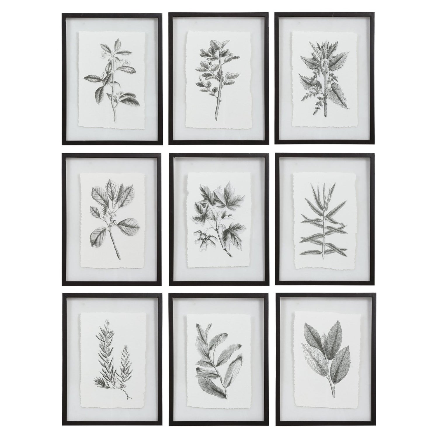 Uttermost Farmhouse Florals Framed Prints - Set of 9
