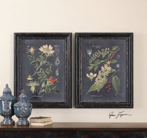 Uttermost Midnight Botanicals Wall Art - Set of 2