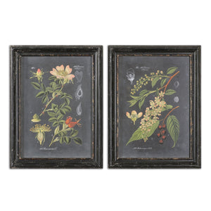 Uttermost Midnight Botanicals Wall Art - Set of 2