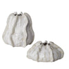 Uttermost Urchin Textured Ivory Vases - Set of 2
