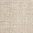 Surya Aiden AEN-1000 Rug