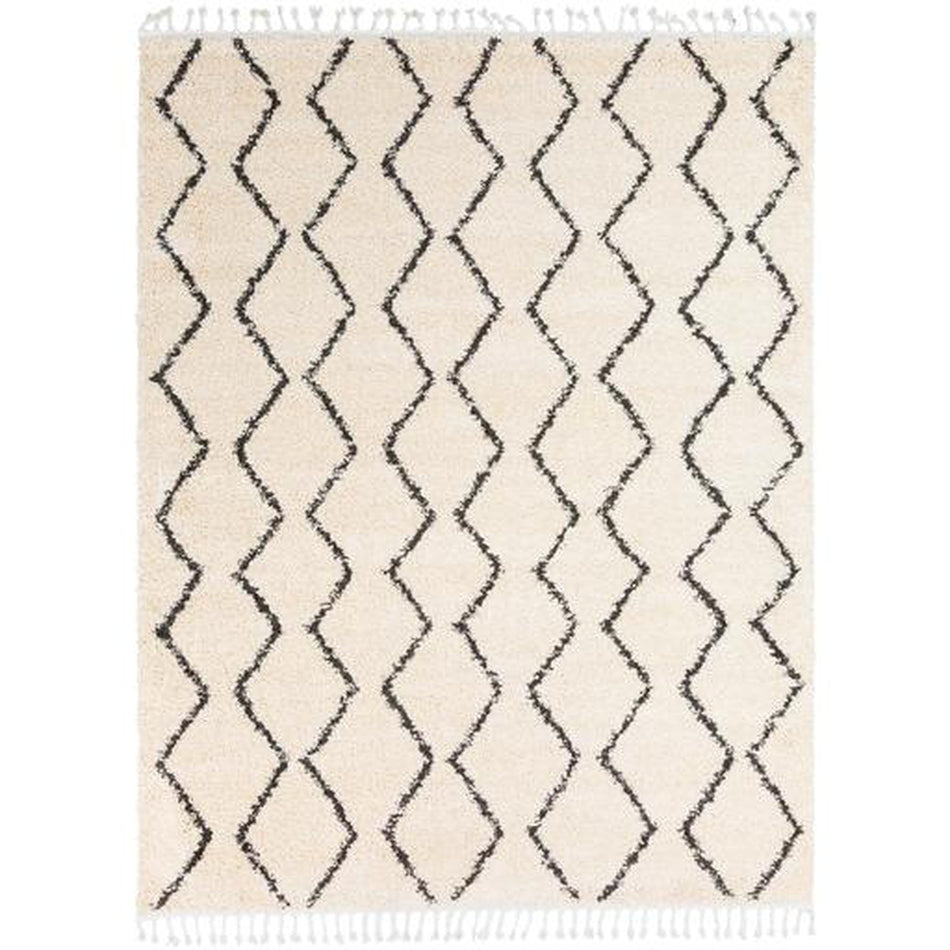Surya Berber Shag BBE-2303 Rug