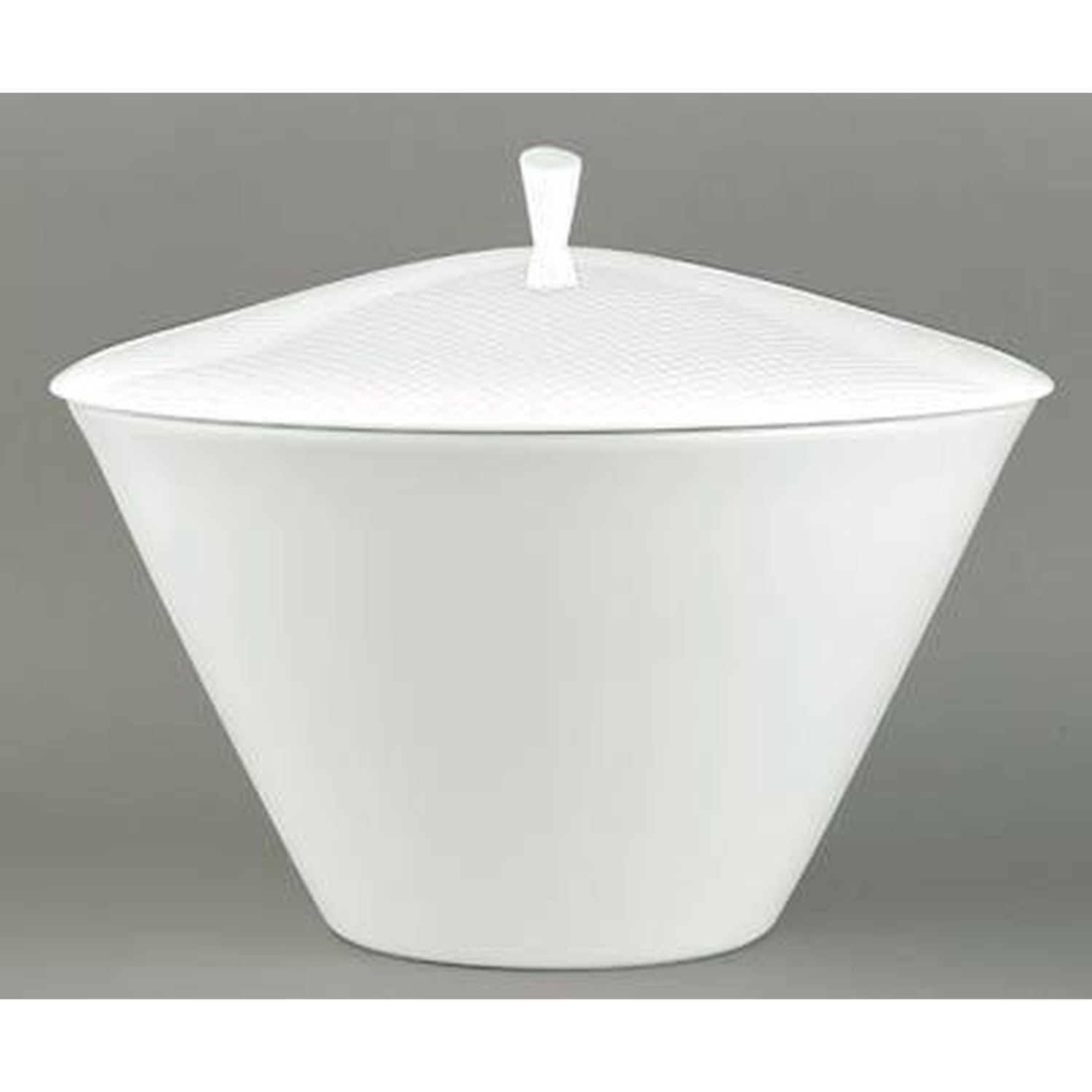 Raynaud Checks Soup Tureen