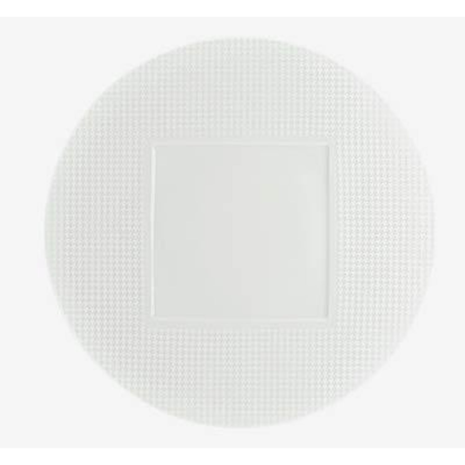 Raynaud Checks American Dinner Plate Square Center