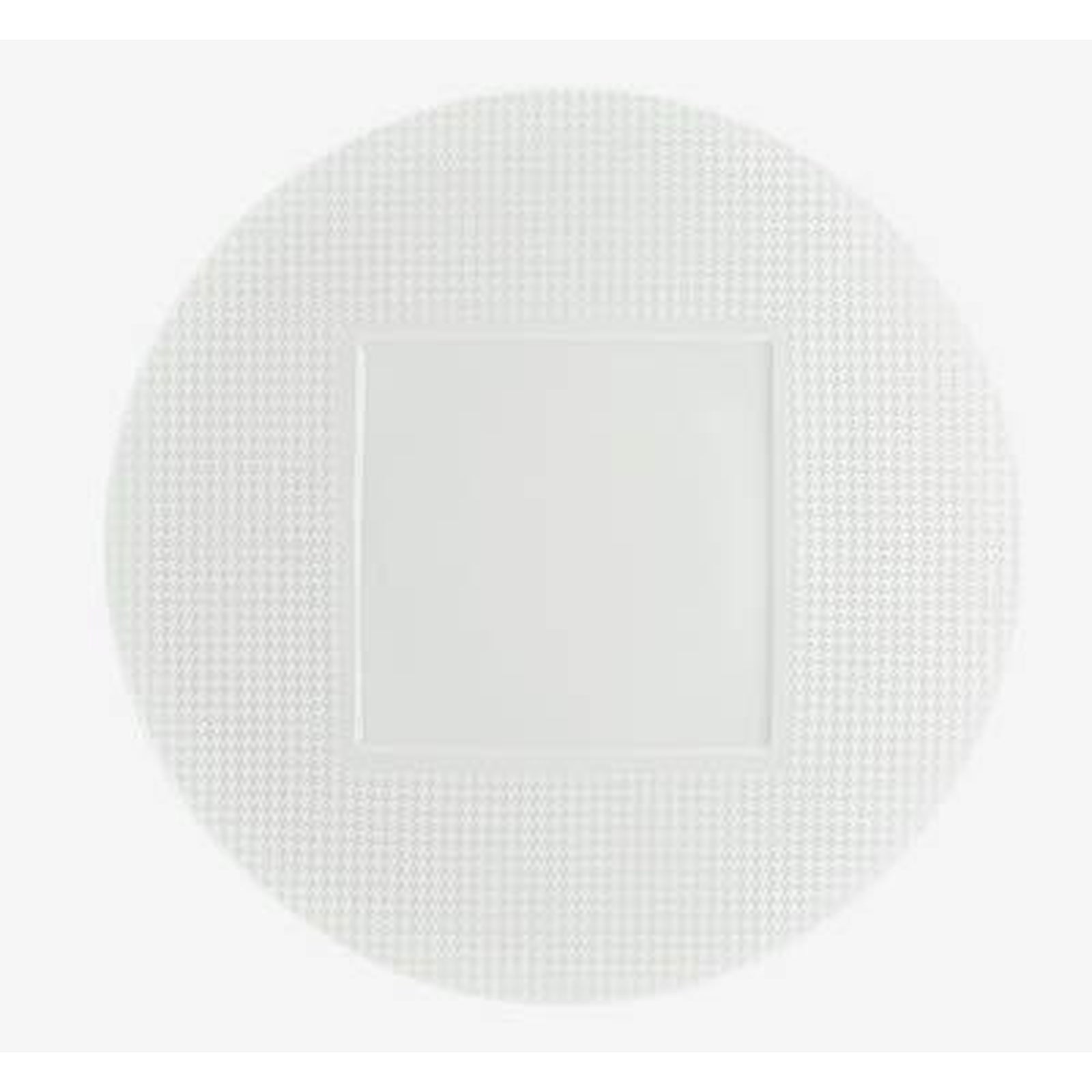 Raynaud Checks American Dinner Plate Square Center