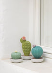 Lladro Ferocactus Cactus Diffuser
