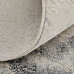 Feizy Astra 39L3F Rug