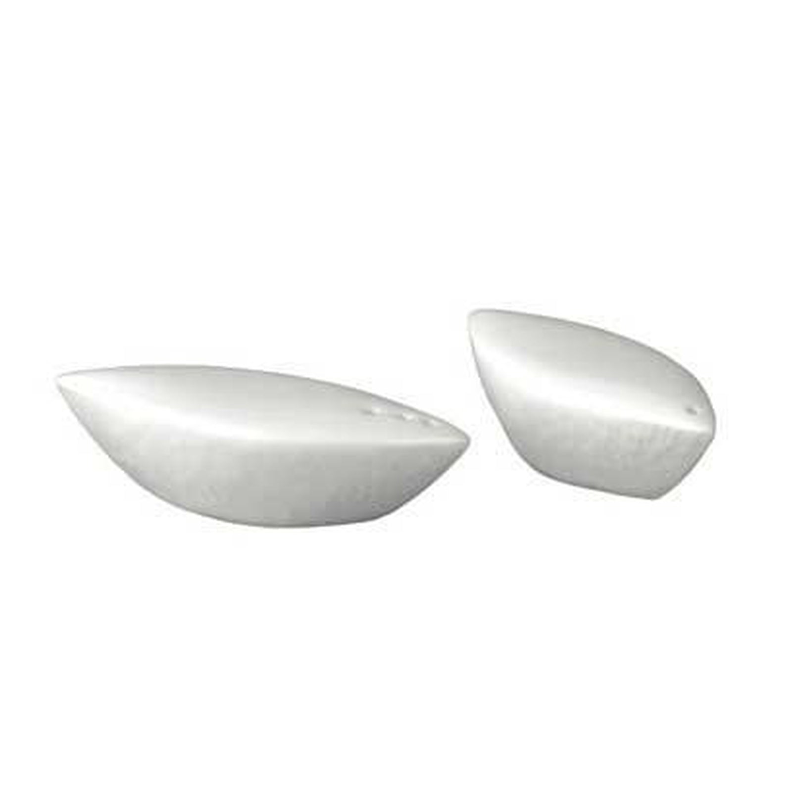 Raynaud Mineral Salt Shaker