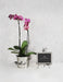 Michael Aram Black Orchid Convertible Easel Frame