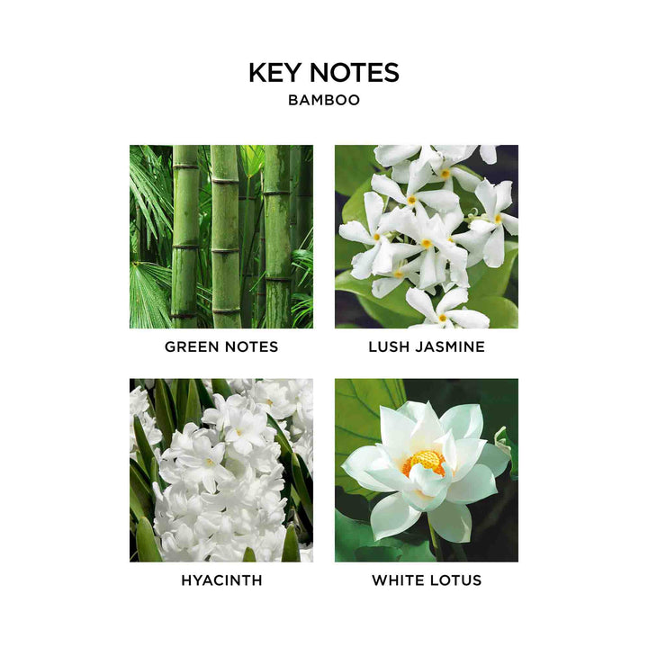 Nest Bamboo Luxury Candle