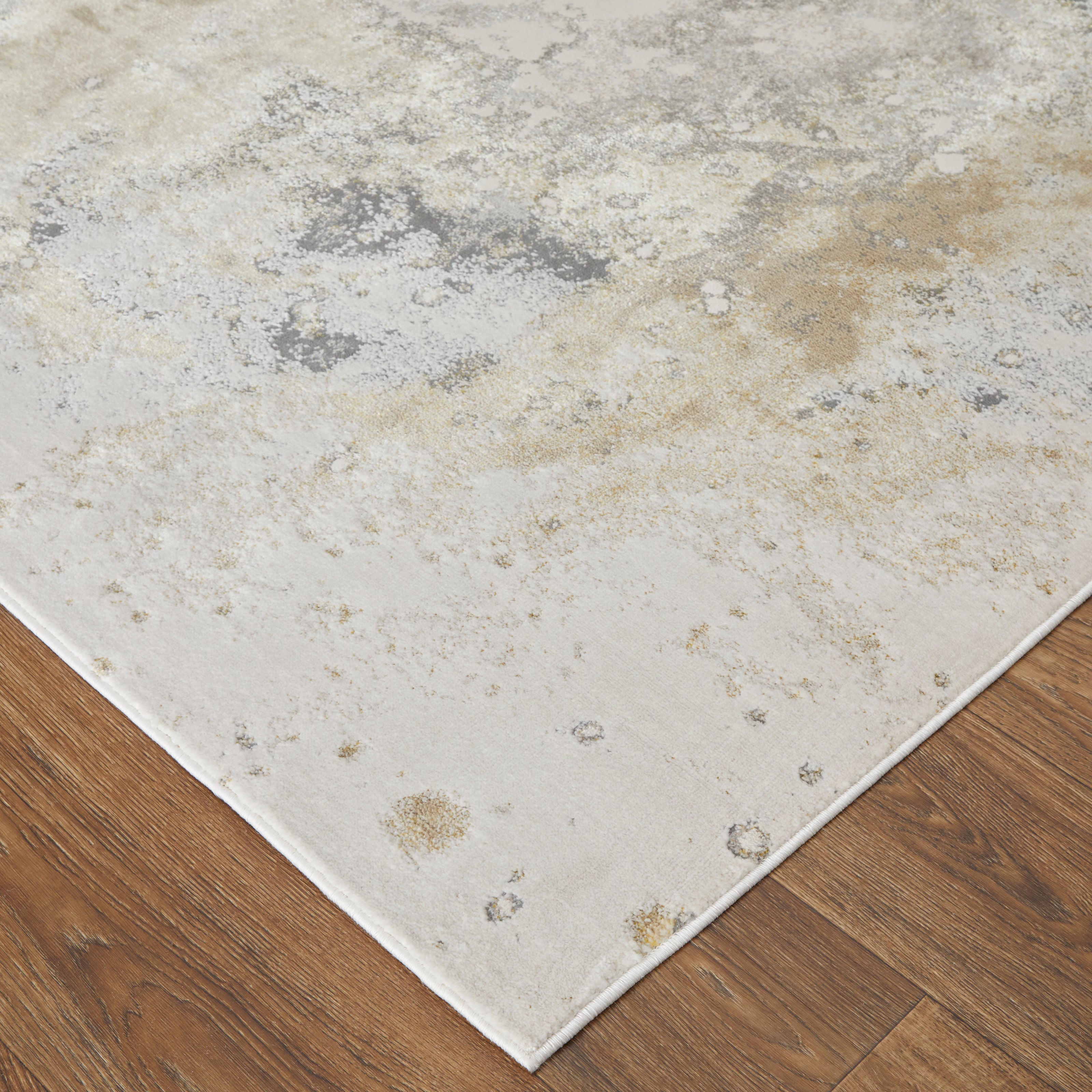 Feizy Astra 39L3F Rug