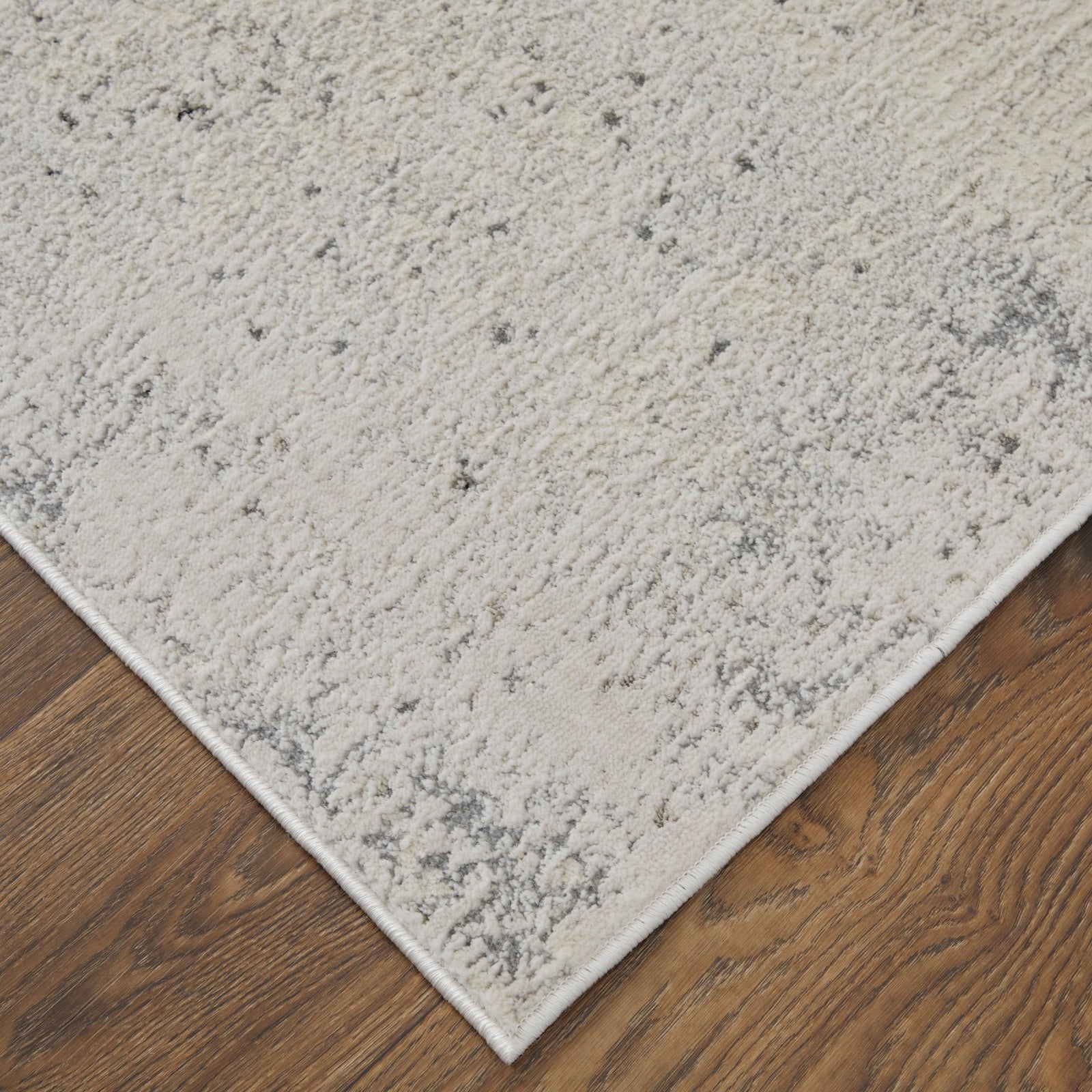 Feizy Astra 39L2F Rug
