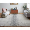 Feizy Astra 39L2F Rug