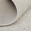 Feizy Astra 39L2F Rug